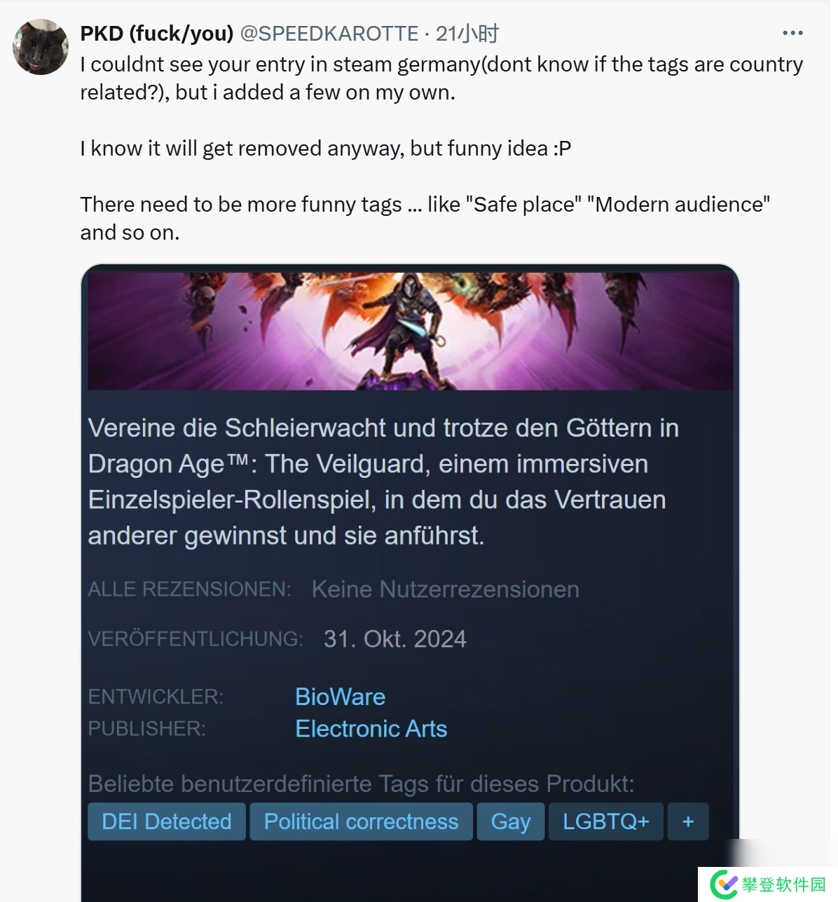 玩家想给《龙腾世纪:影障守护者》添加DEI、ZZZQ等标签