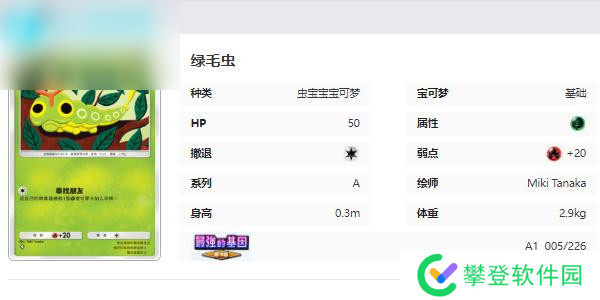 宝可梦TCG Pocket卡牌图鉴
