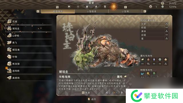 狂野之心琥珀主的爪 狂野之心怪物打法