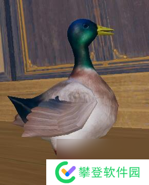 剑网3滴水恩宠物奇遇攻略