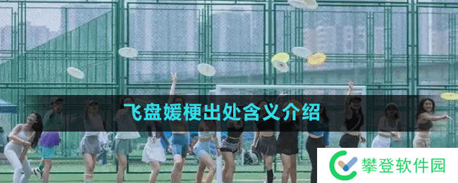 飞盘媛梗出处含义介绍