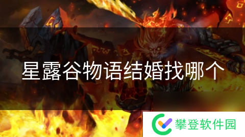 星露谷物语结婚找哪个