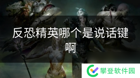 反恐精英哪个是说话键啊